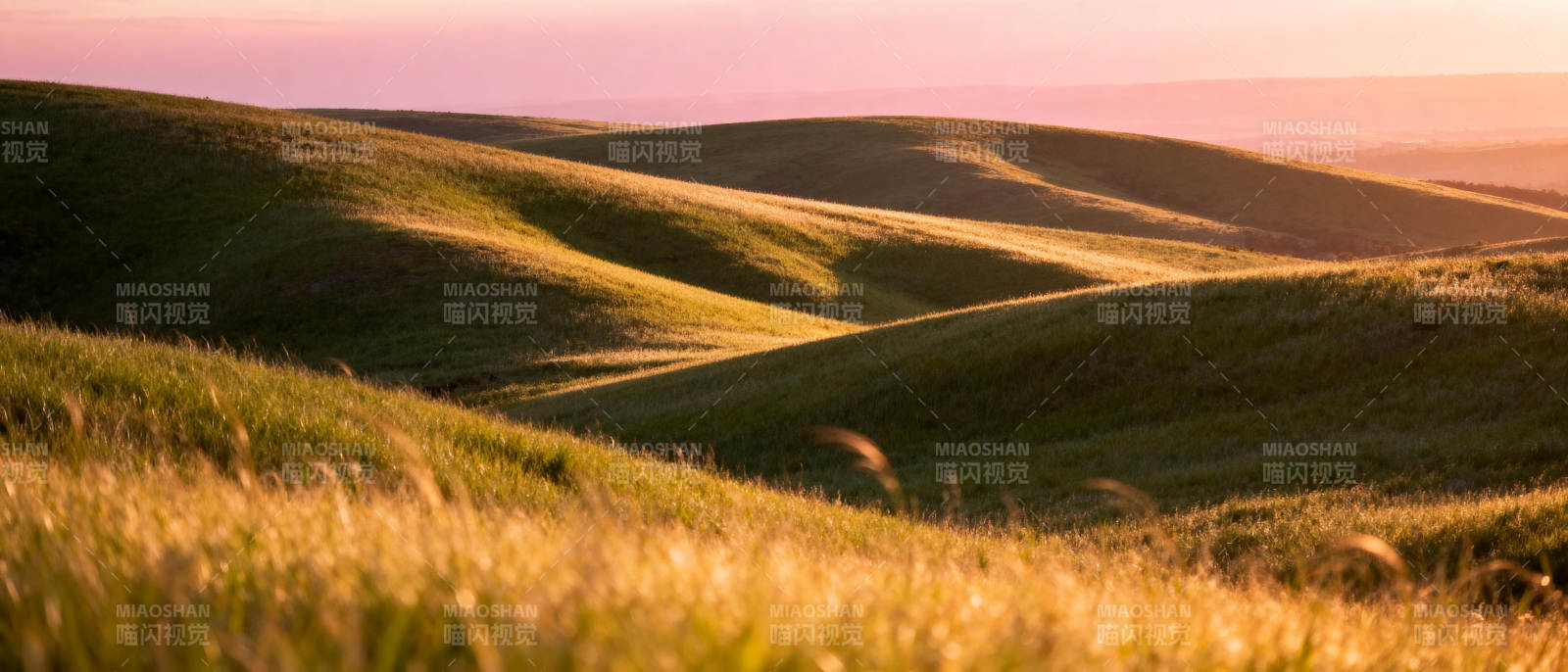 金色草原晨曦图片