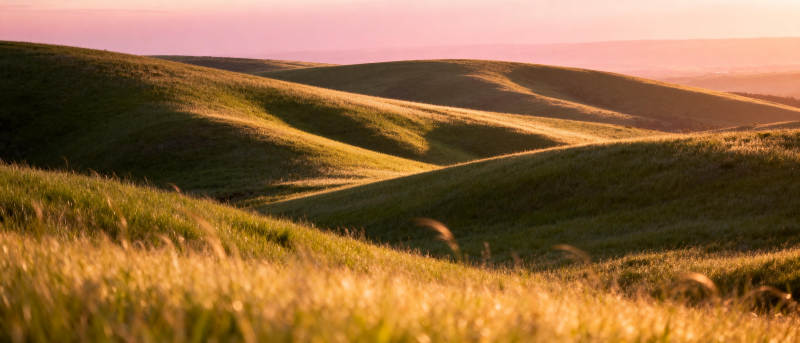 金色草原晨曦图片