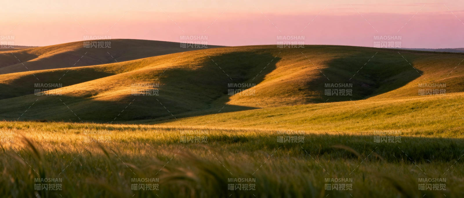 金色麦田日落时分图片