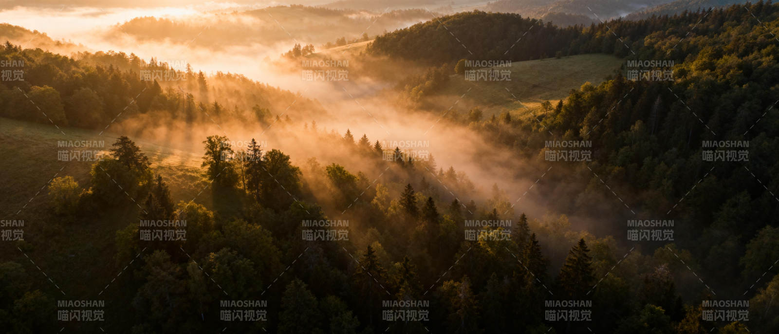 晨雾缭绕山林间图片