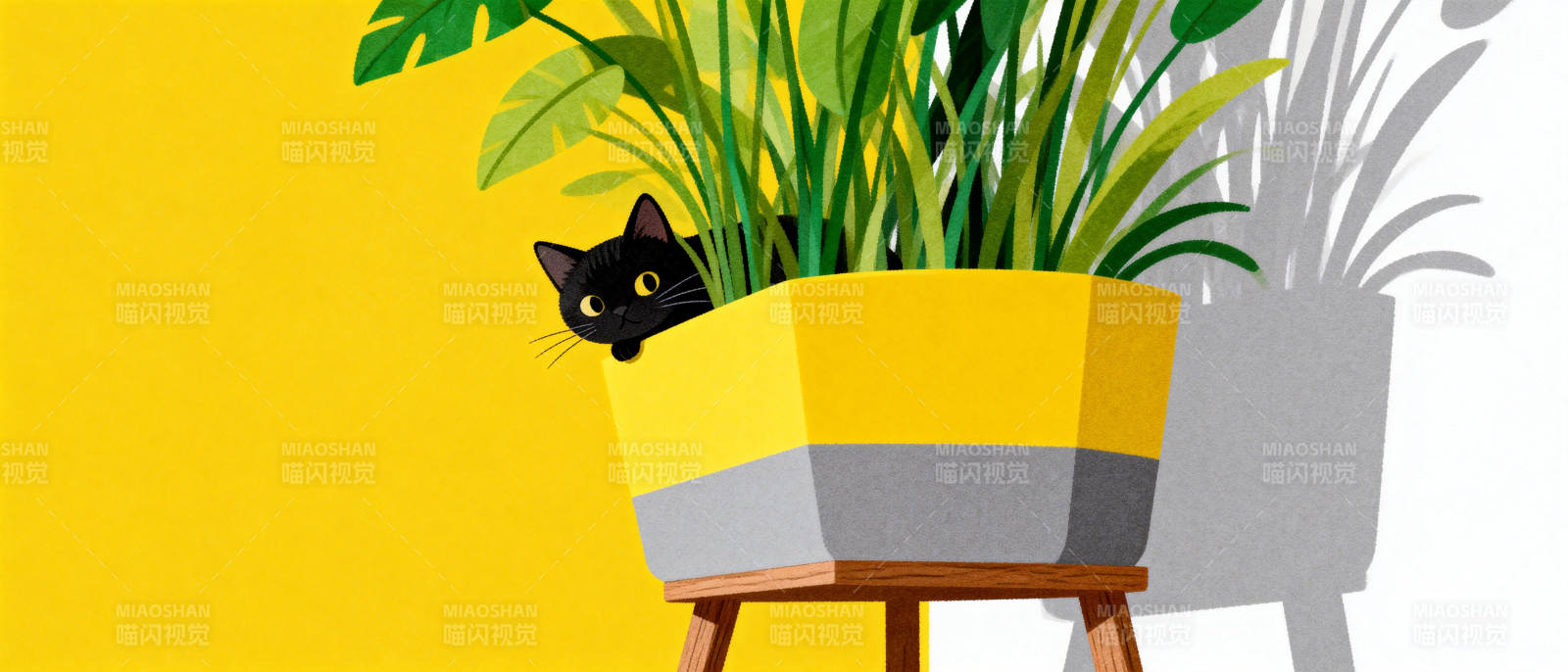 黑猫藏盆栽图片