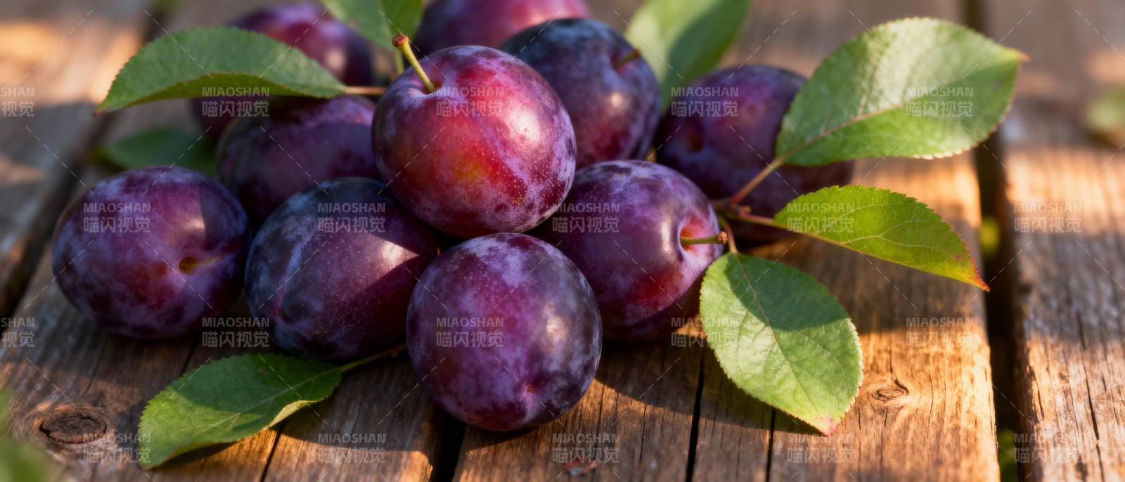 紫李鲜果满枝头图片