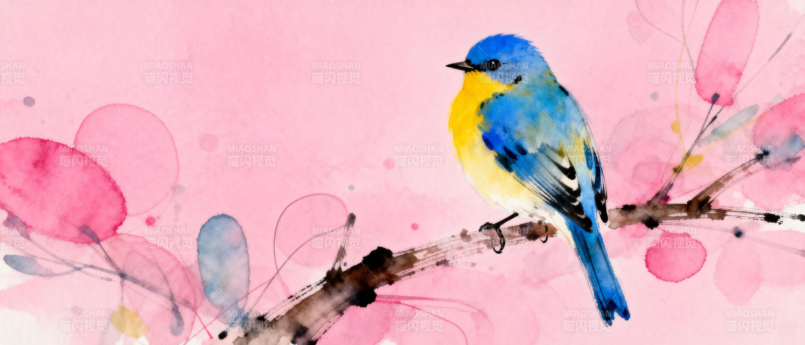 蓝黄小鸟栖枝头图片