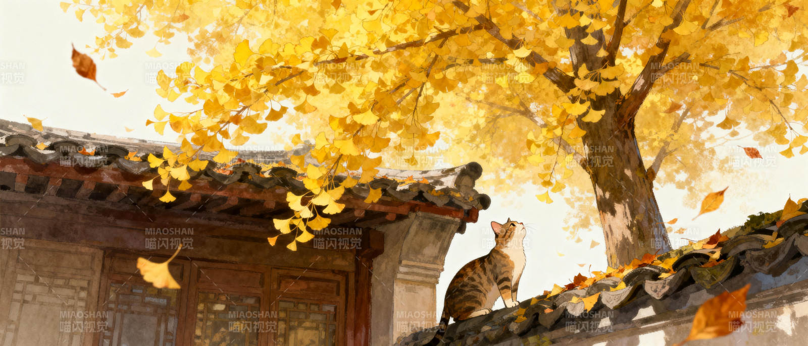 秋树下的猫图片