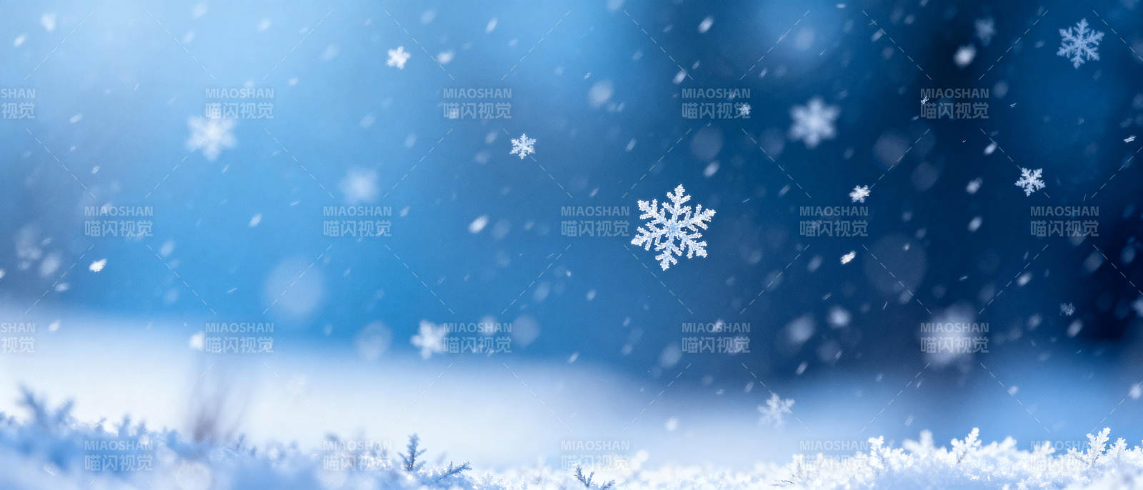 冬日雪景图片