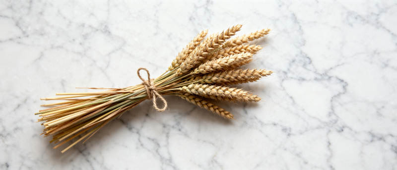 麦穗静物图图片