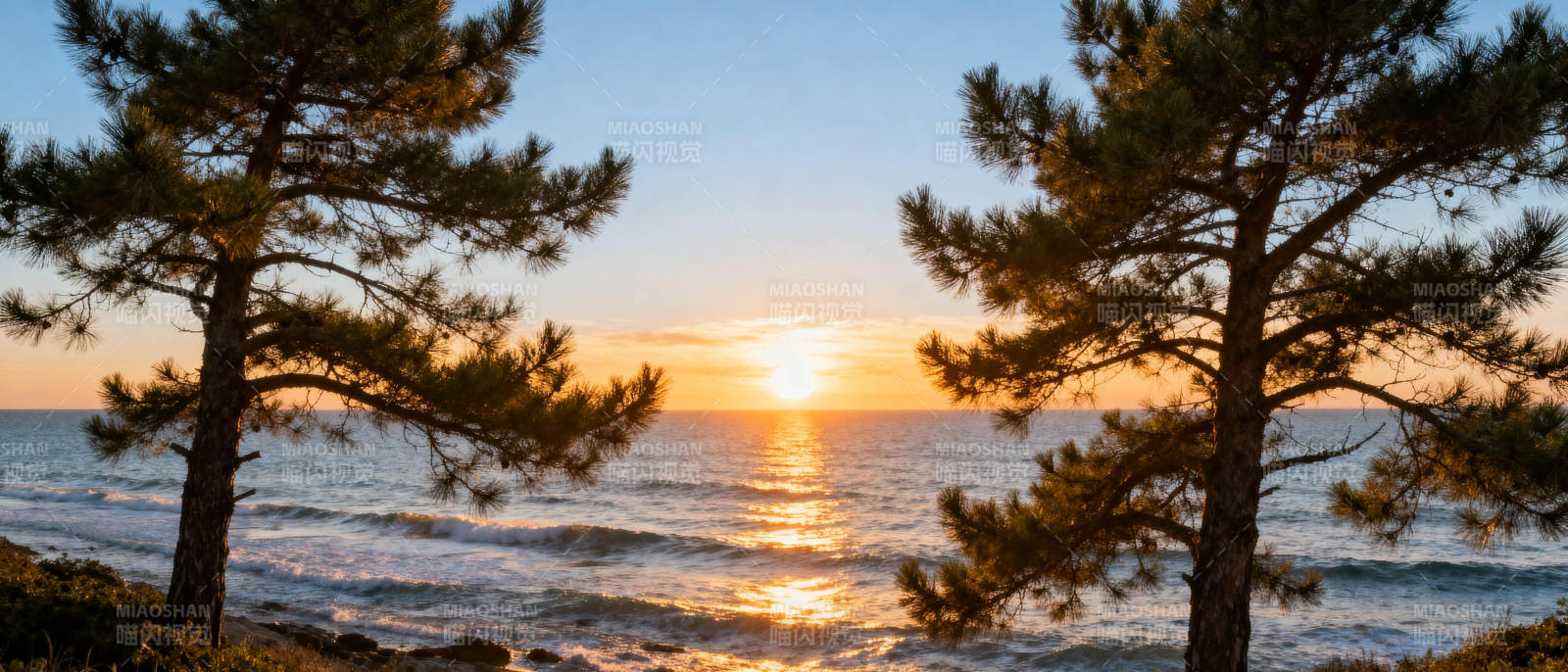 松林夕照海景图片