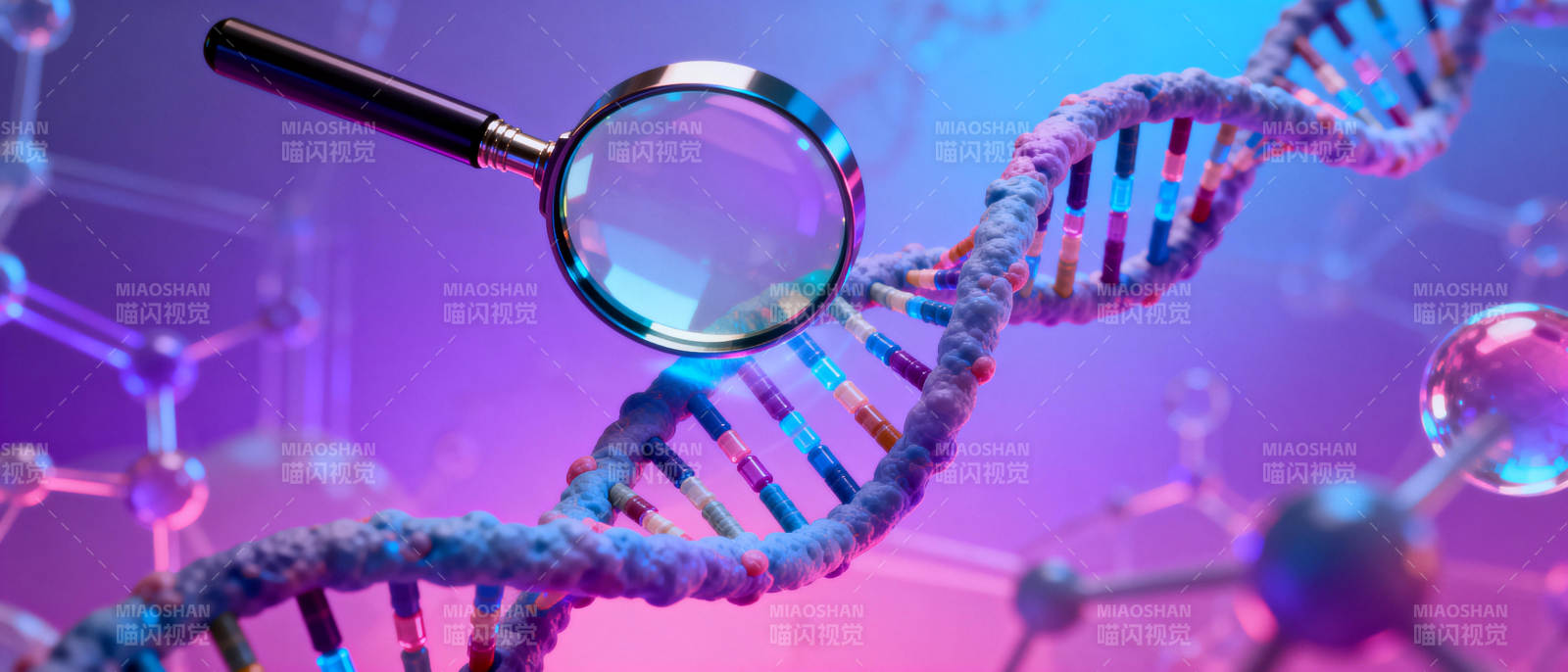 DNA探秘图片