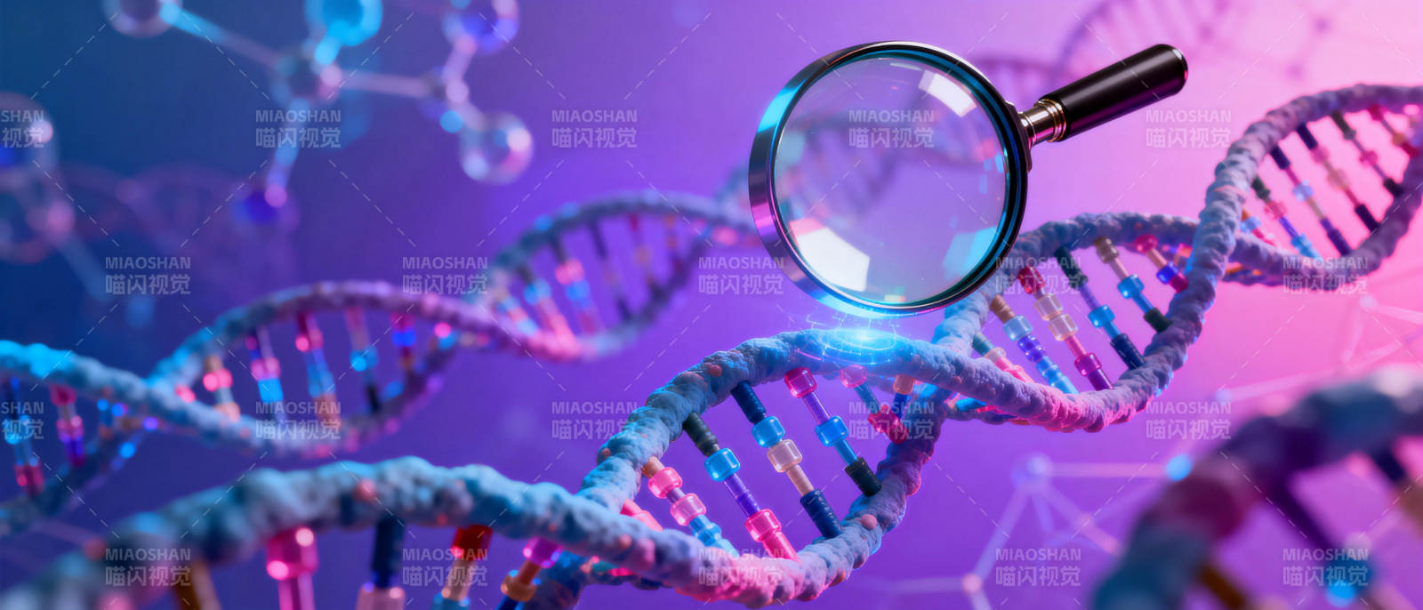 DNA探秘图片