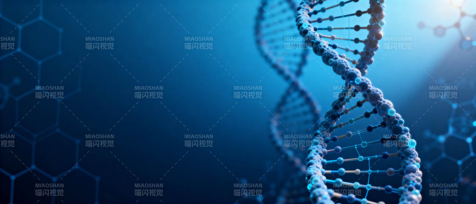 DNA双螺旋结构图片