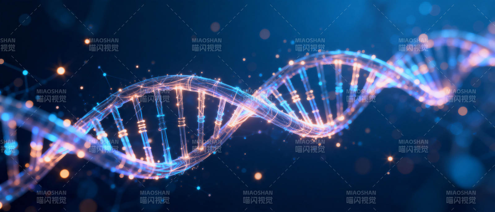 DNA双螺旋结构图片