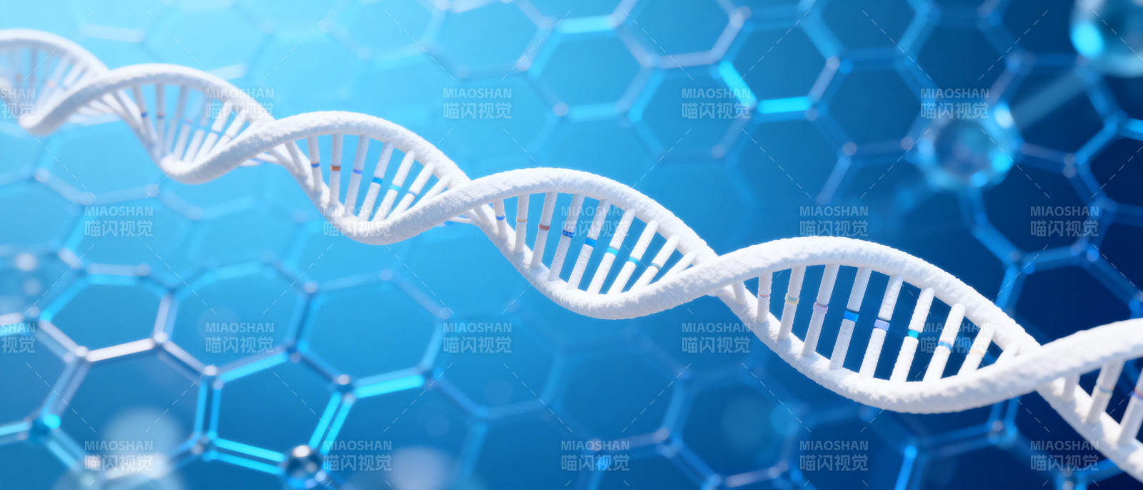 DNA双螺旋结构图片
