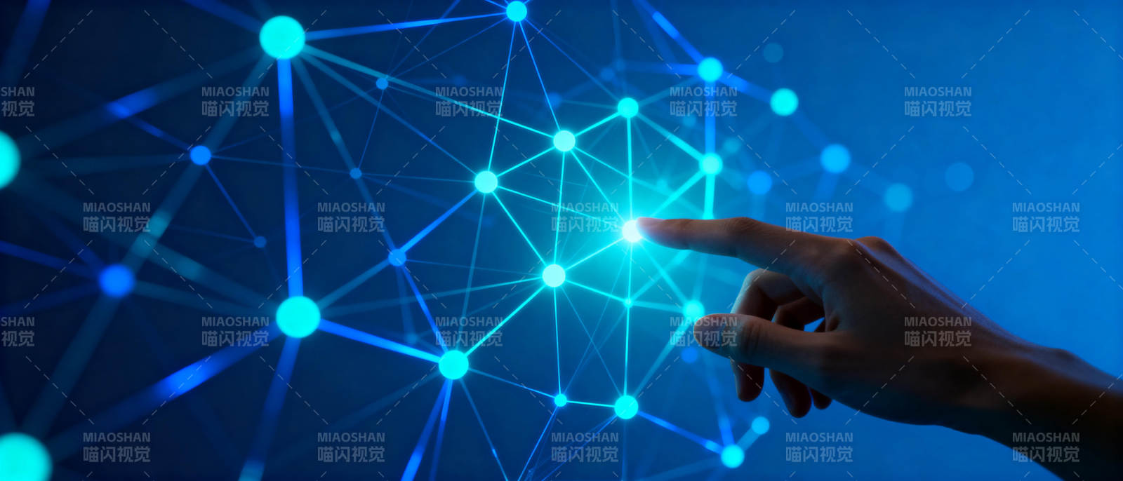 触碰未来网络图片