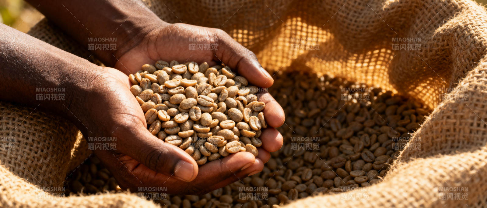 咖啡豆在手中图片