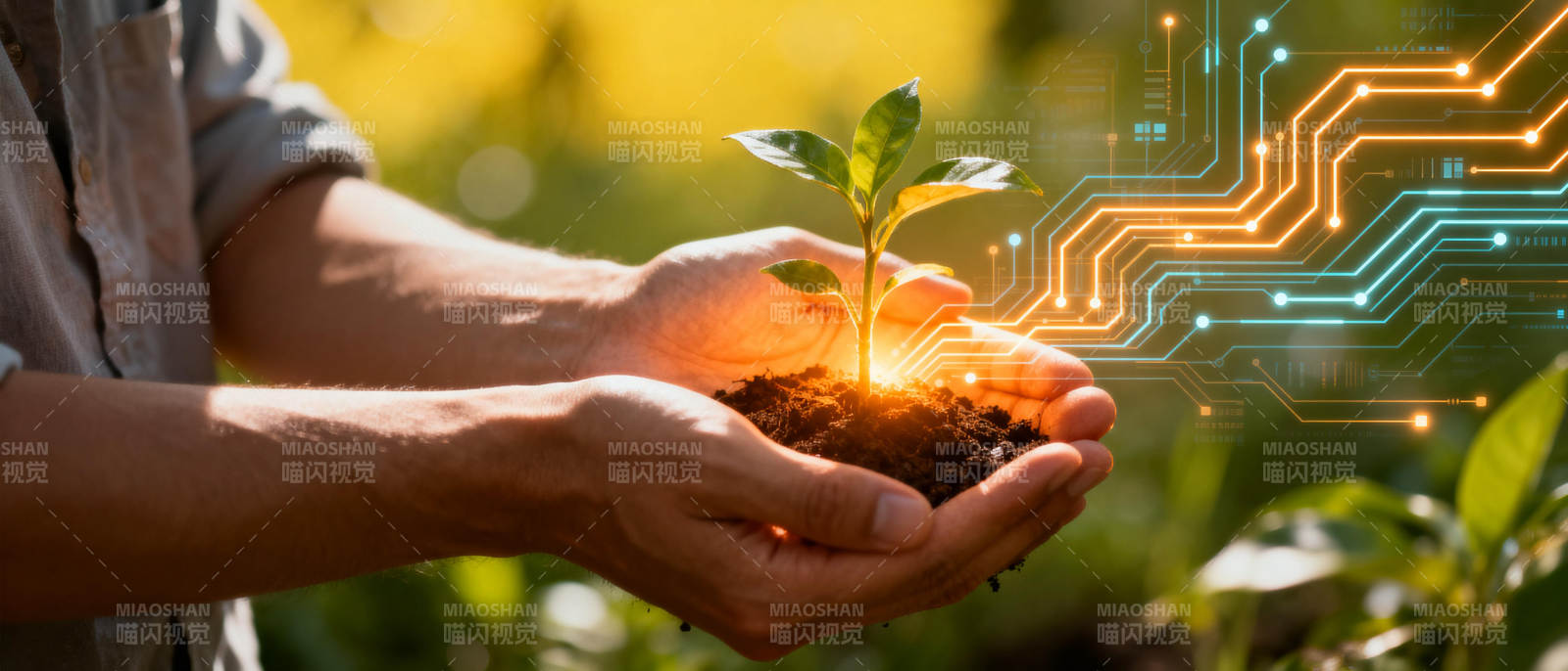 科技育苗 绿色未来图片