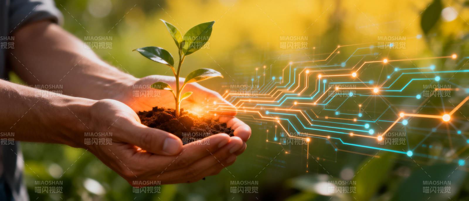 科技育苗 绿色未来图片