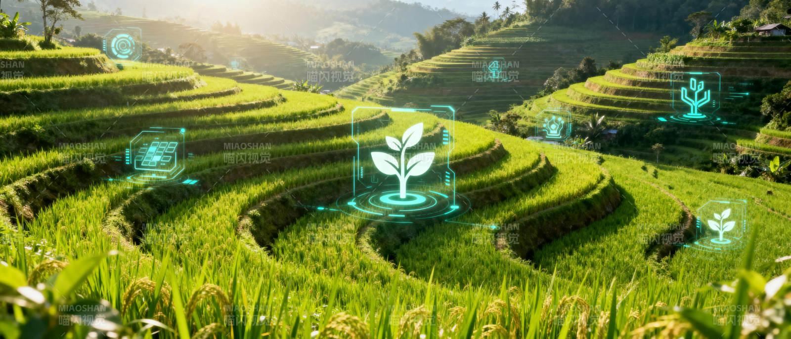 智慧农业新景象图片