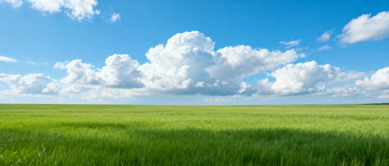 绿野蓝天白云图片
