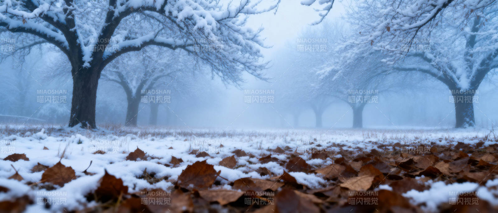 雪落林间静谧景图片