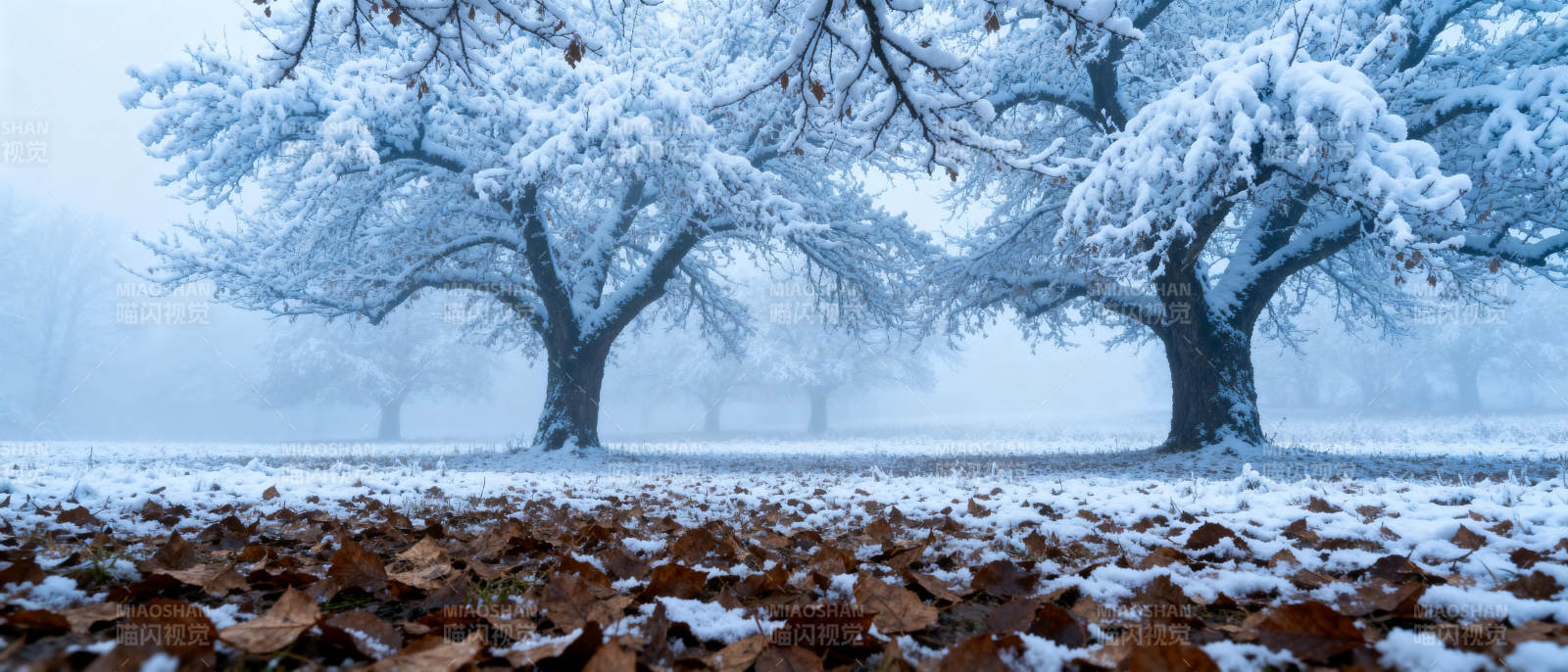 雪覆枯叶静谧林图片