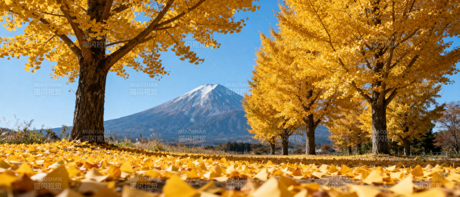 富士山秋景图片