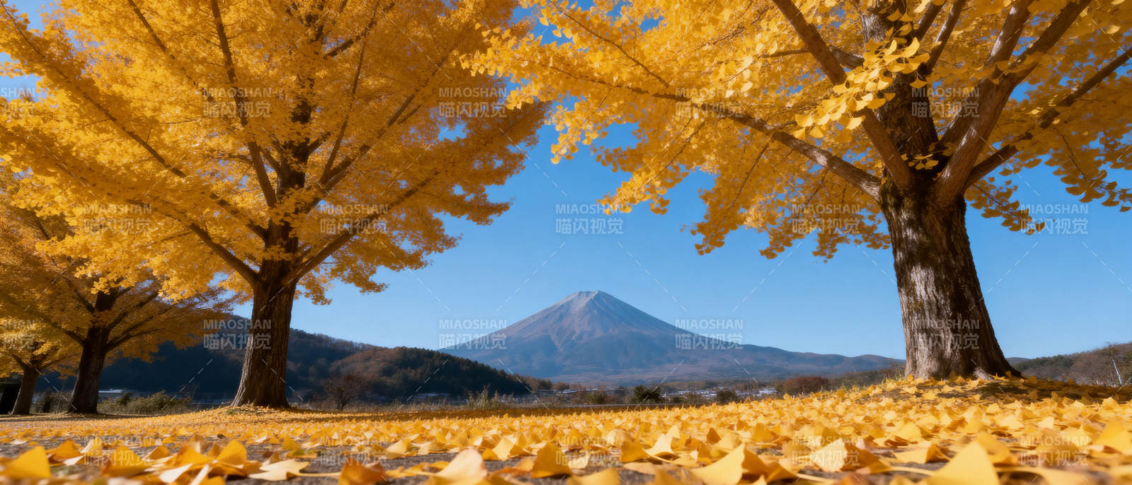 秋叶映富士图片