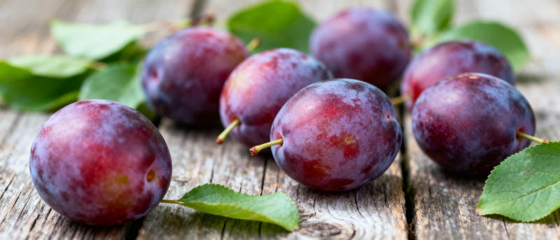 紫李鲜果静置木桌图片