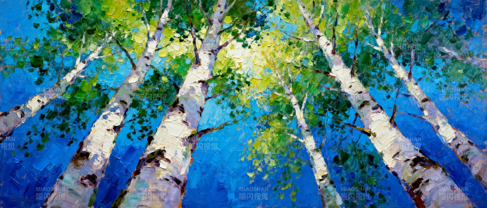 白桦林仰望图片