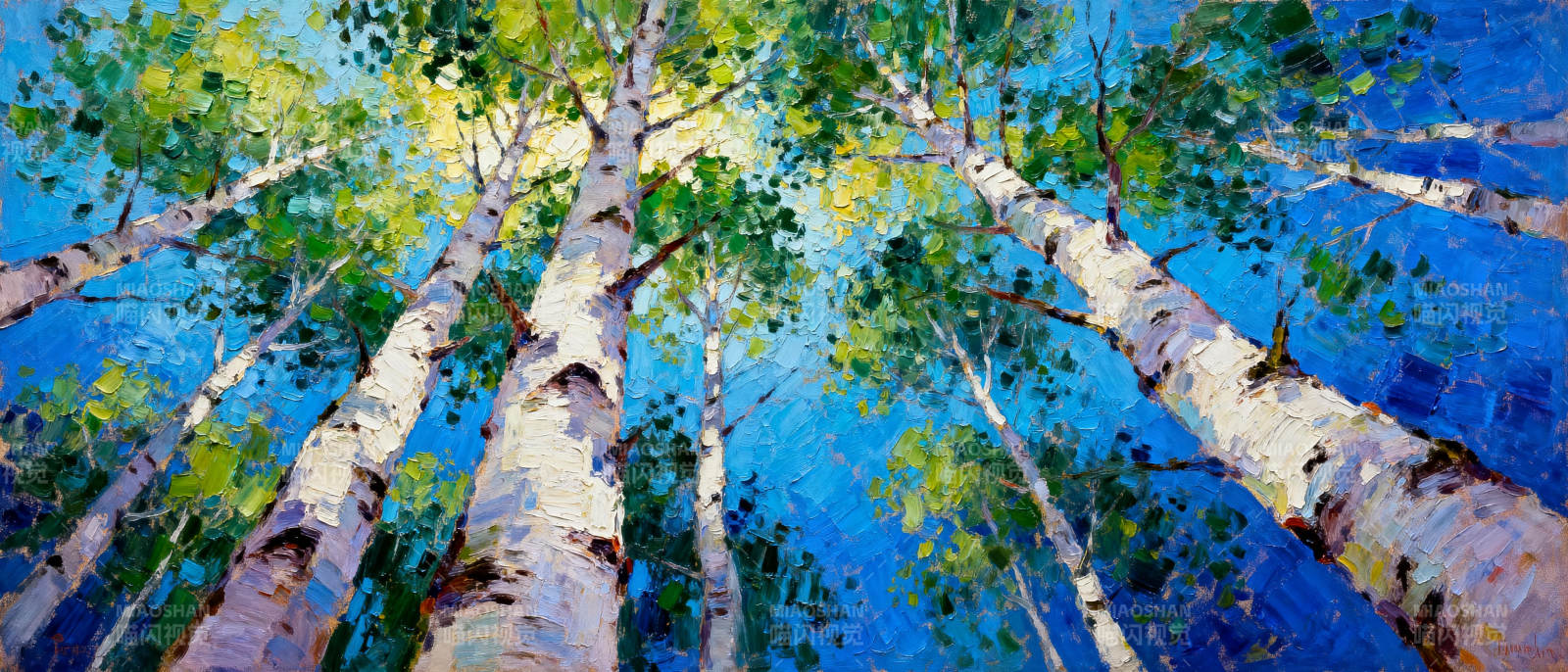 仰望白桦林图片