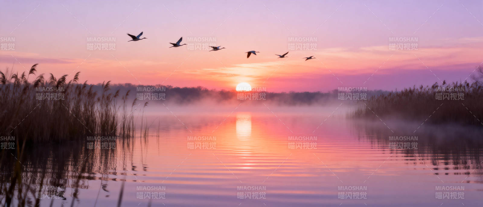 晨雾湖光飞雁图片