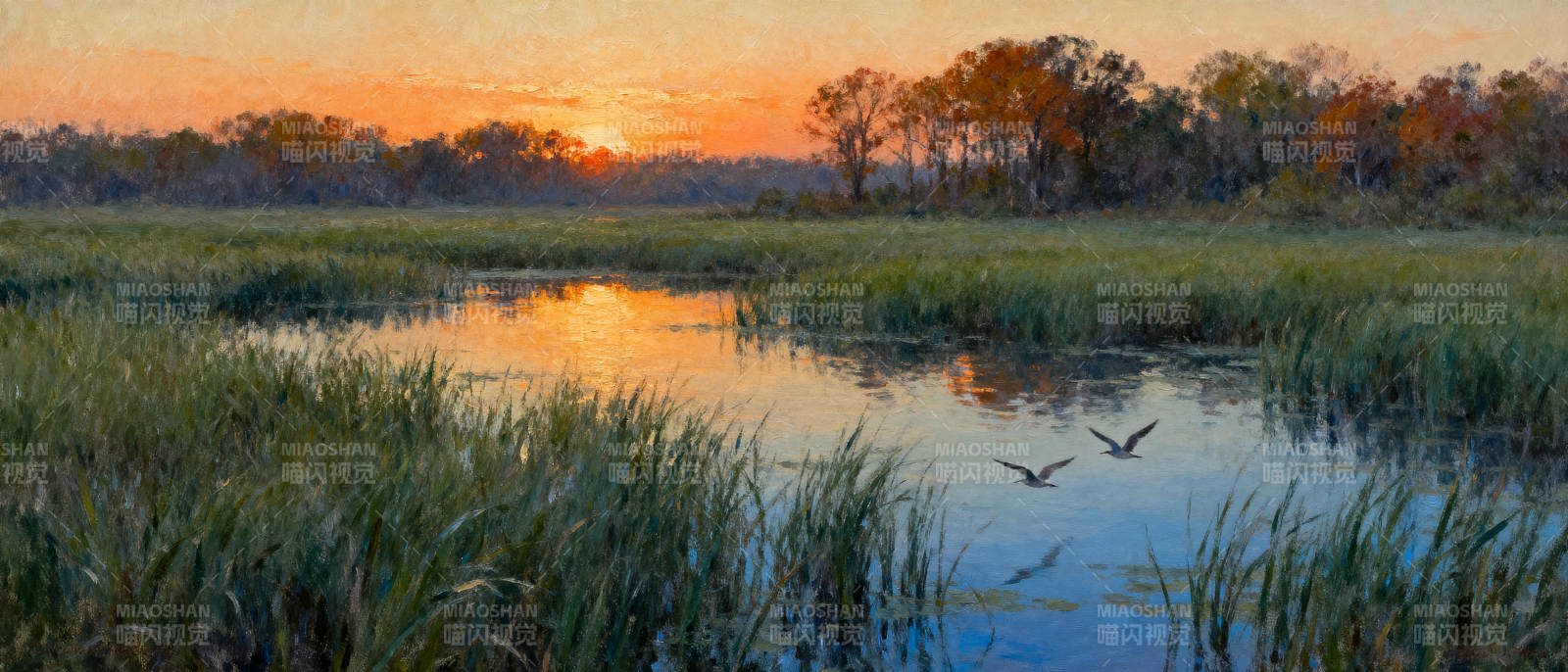 湿地日落飞鸟图片
