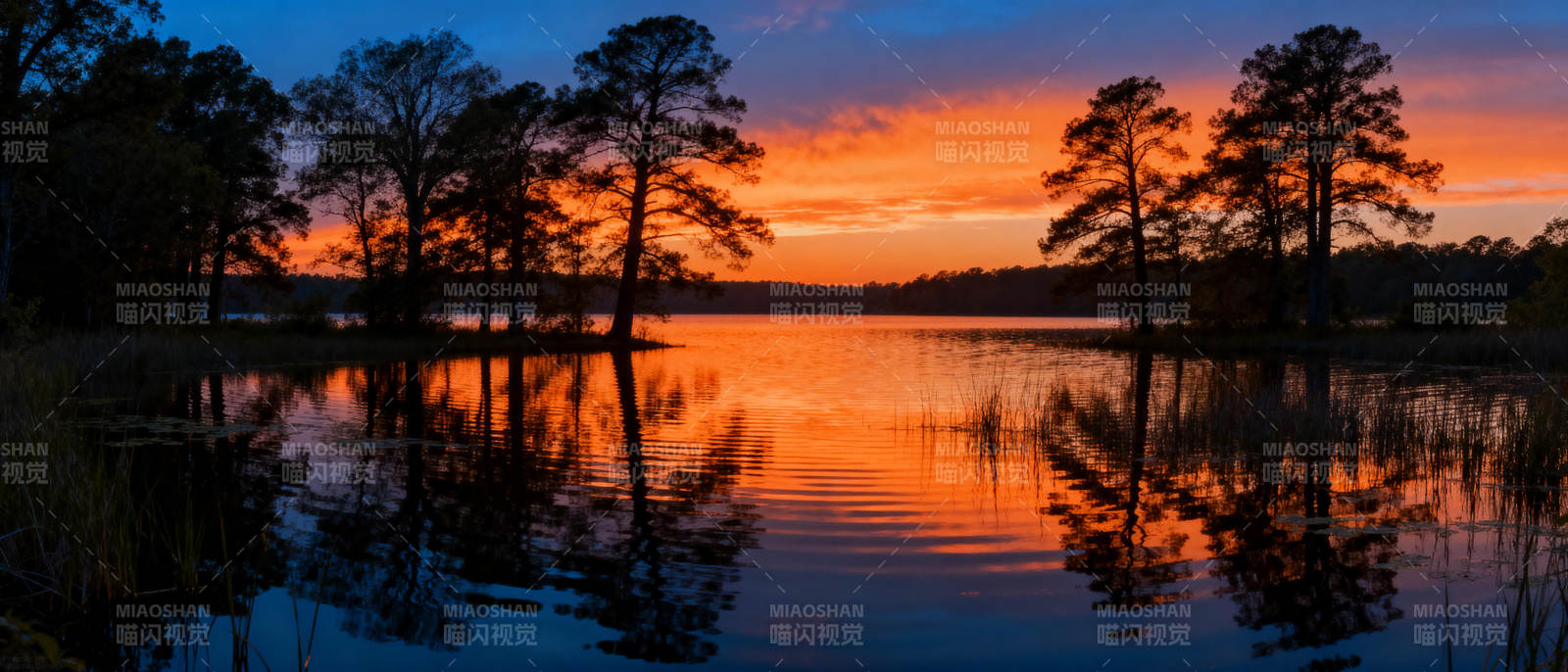 湖畔夕阳映树影图片