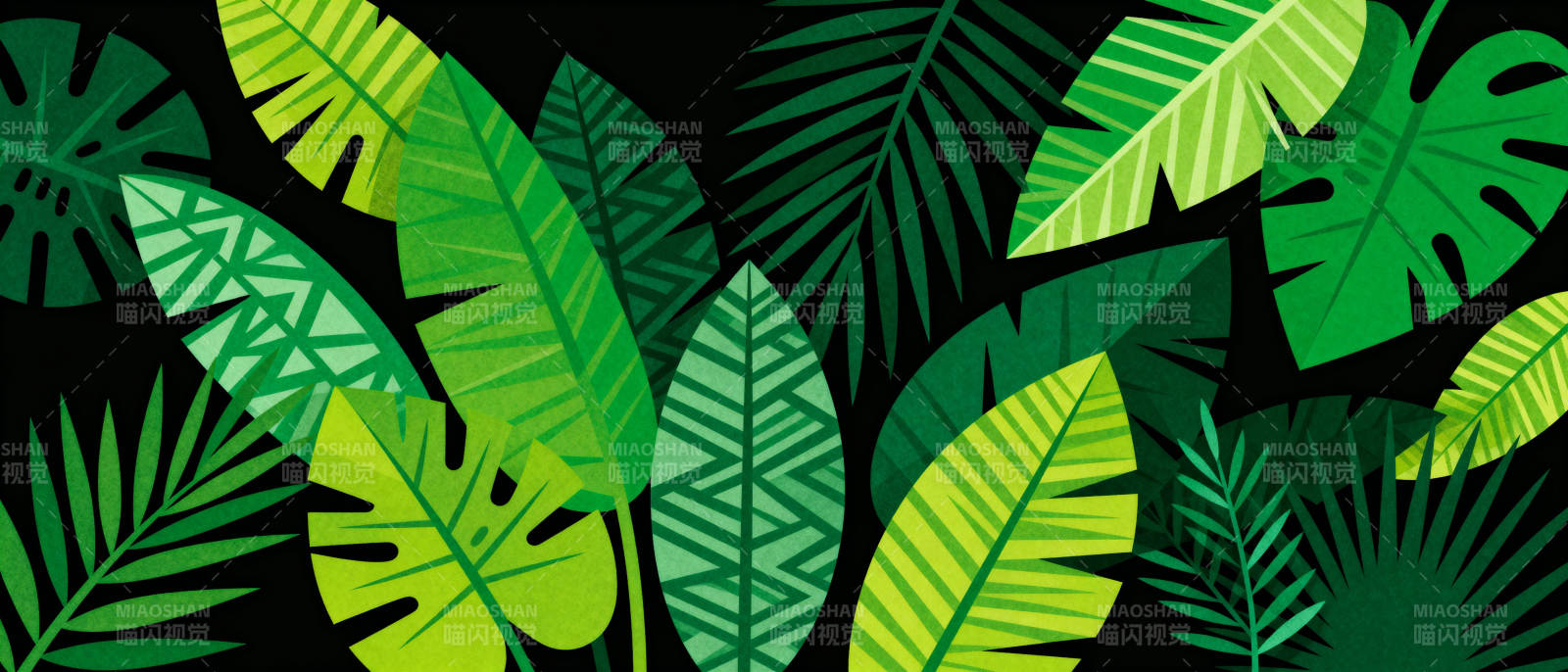热带绿叶图案图片