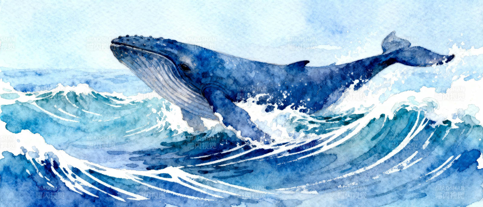 鲸跃海浪图片
