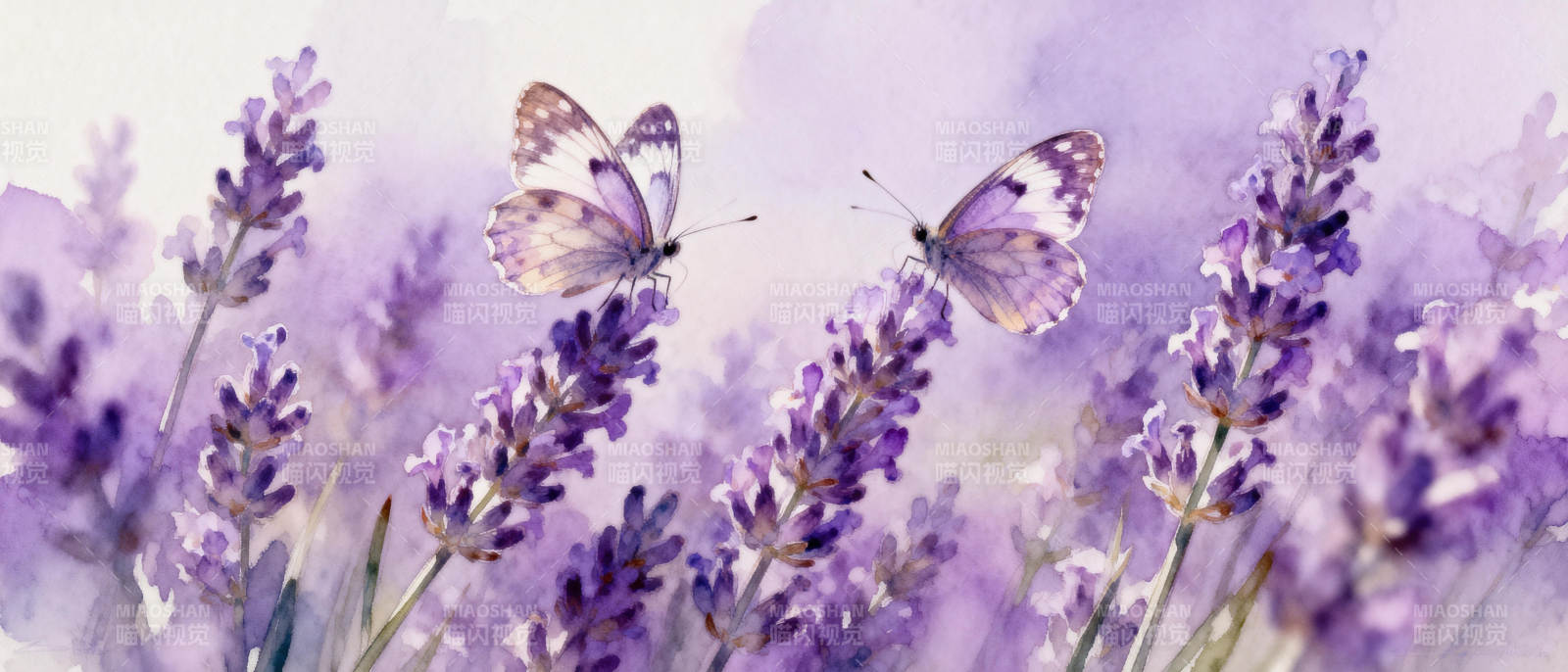 薰衣草与蝶舞图片