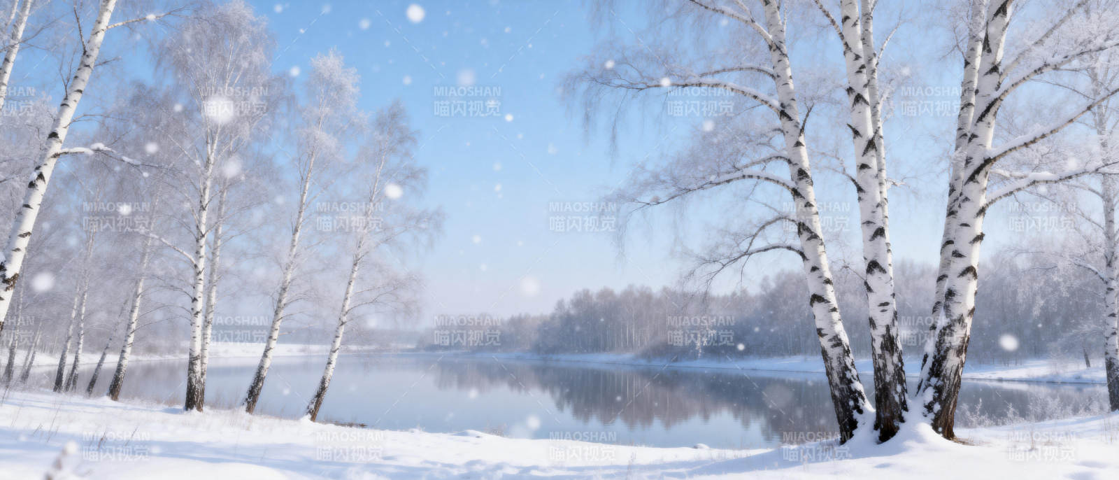 雪中白桦林图片