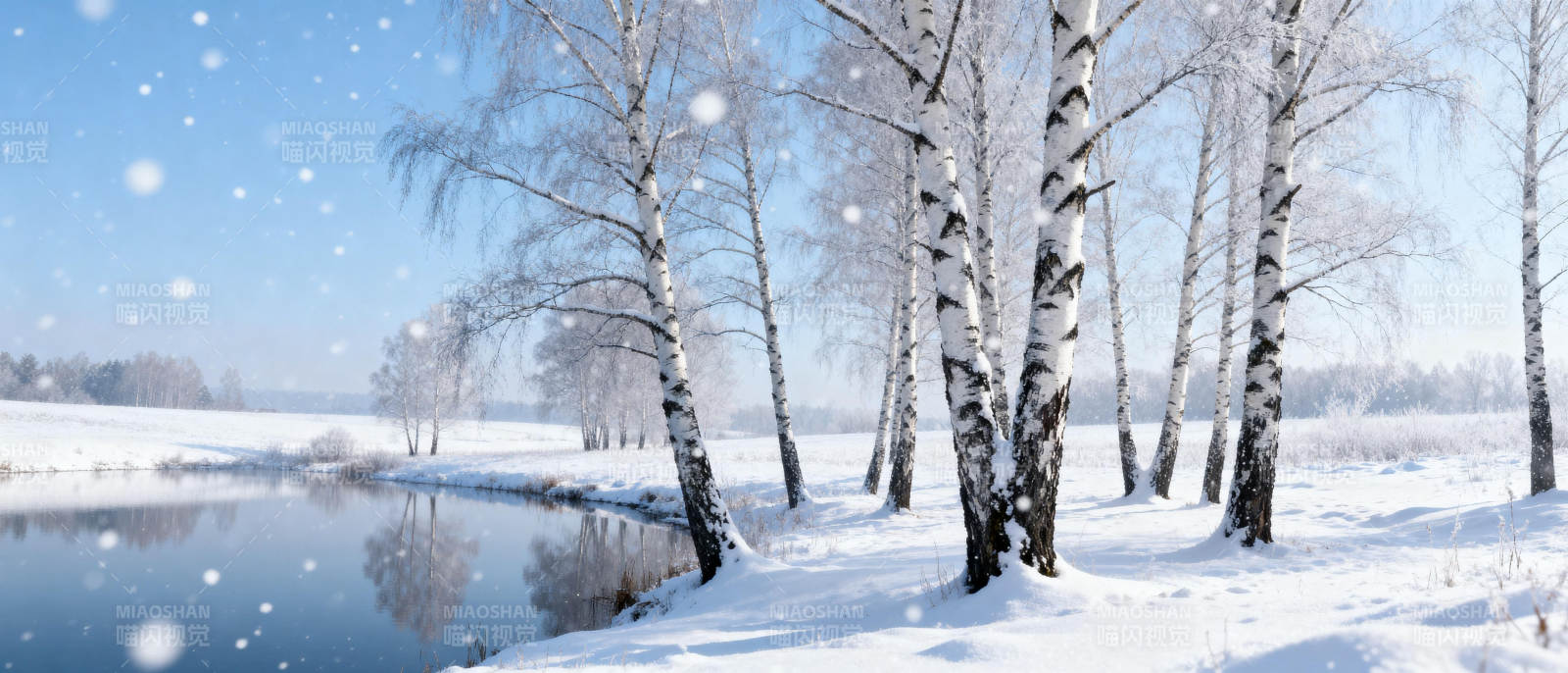 雪中桦林静谧景图片