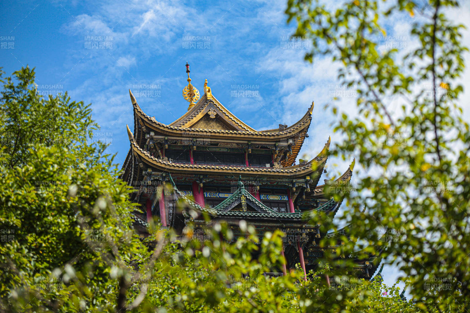 绿树间鸿恩阁图片