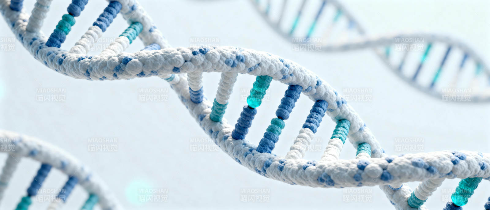 DNA双螺旋结构图片