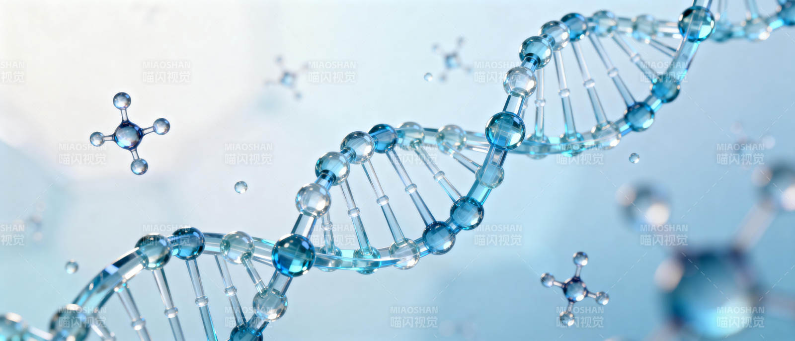 DNA双螺旋结构图片