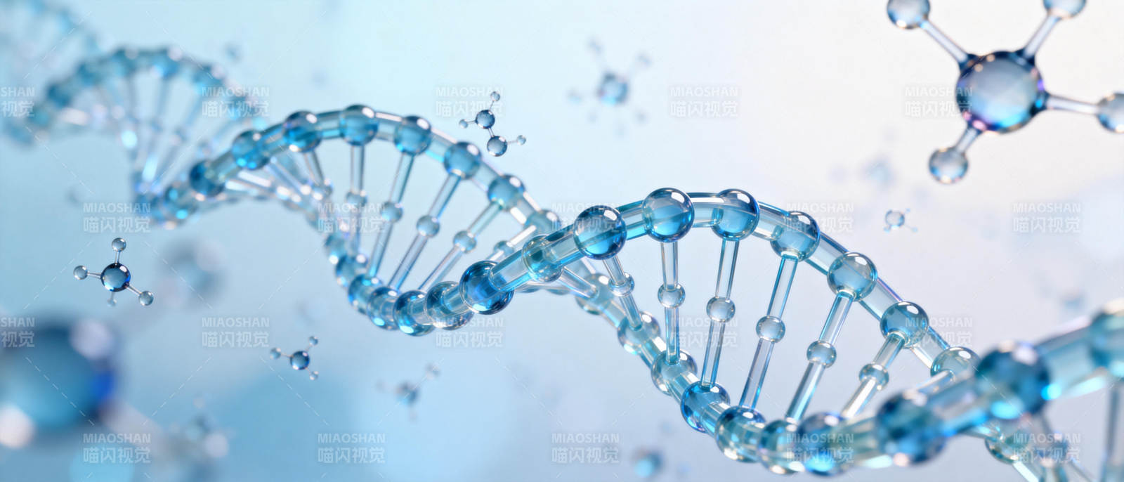 DNA双螺旋结构图片