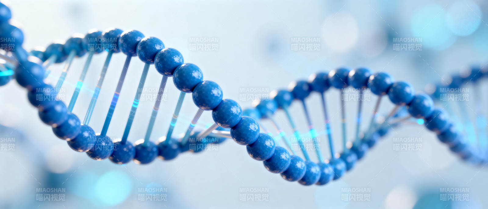 DNA双螺旋结构图片