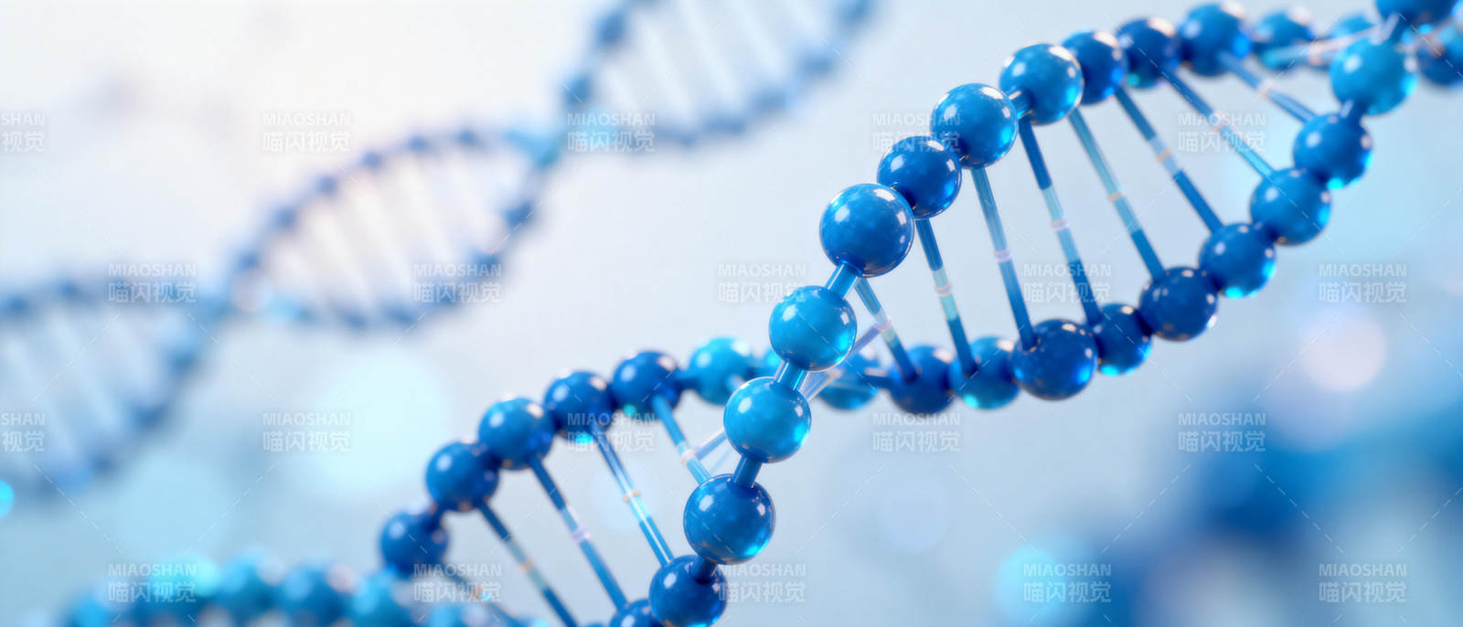 DNA双螺旋结构图片