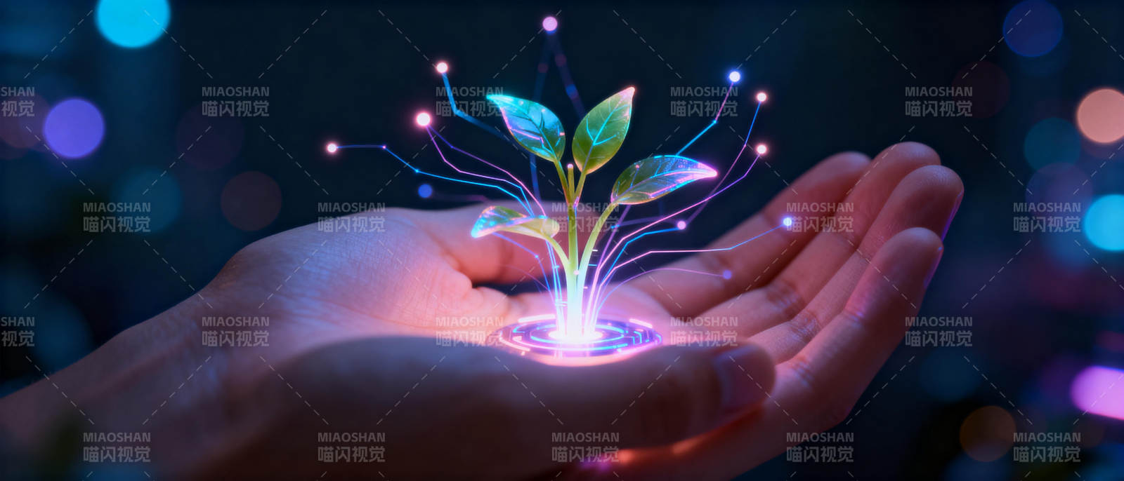 掌中发光的未来之树图片