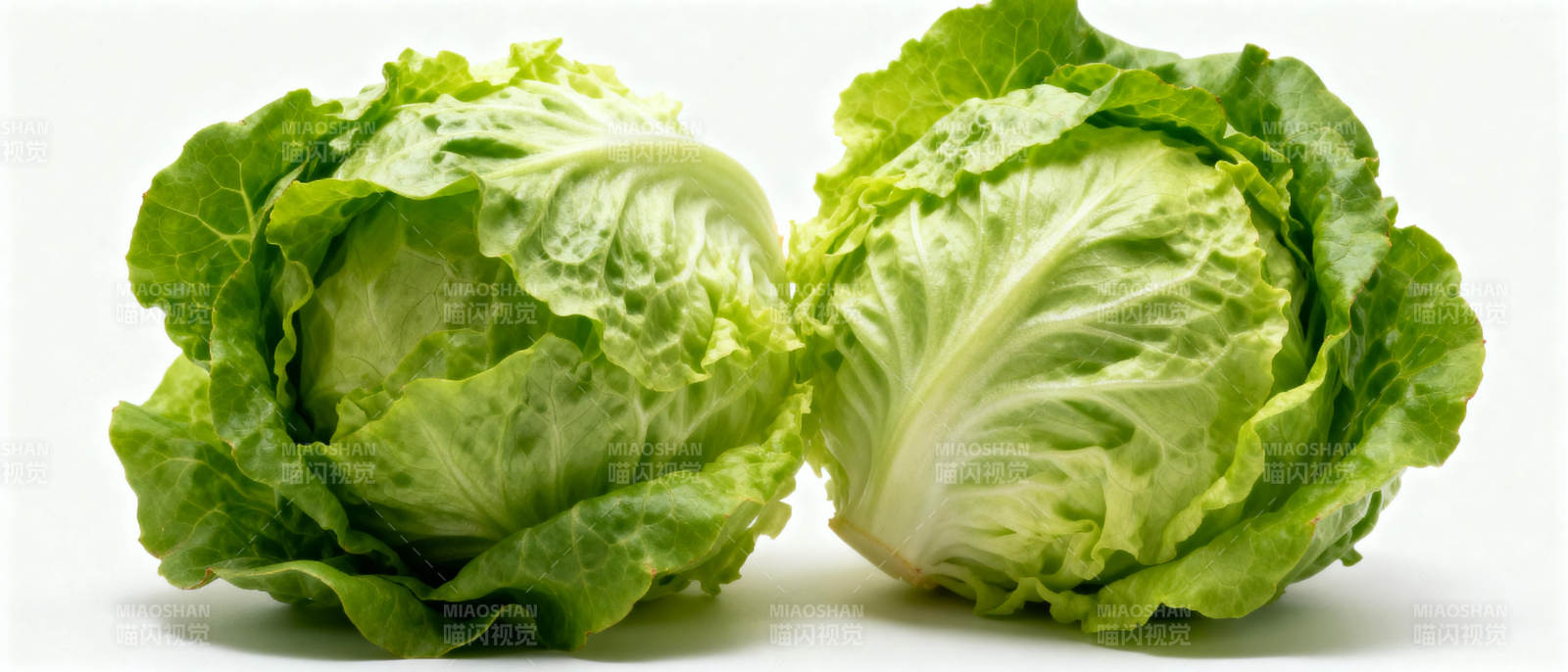 新鲜生菜特写图片