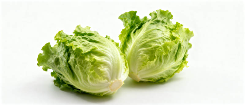 新鲜生菜两颗图片