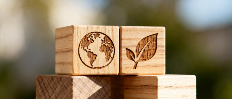 环保木块地球叶图片