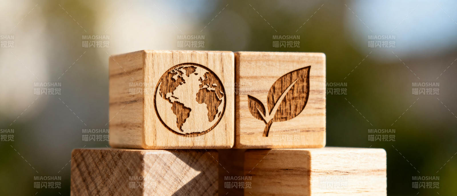 环保木块地球叶图片
