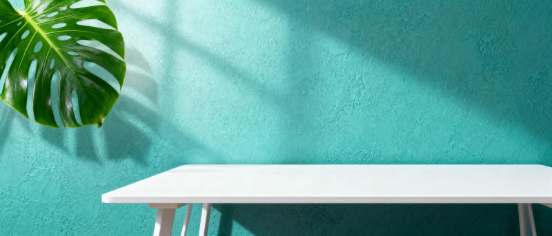 绿叶映影白桌图片