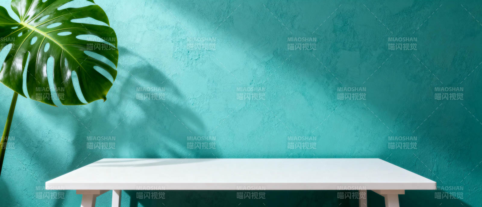 绿叶映墙 桌影清幽图片